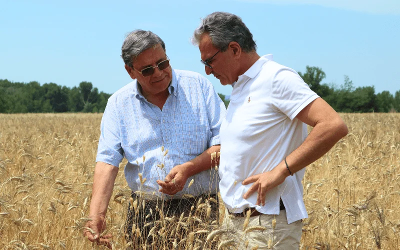 Progetto_senza_titolo_76.png